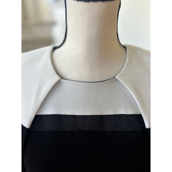 Elliatt Black & White Capulet Cape Sheath Mini Dress - Picture 3 of 9